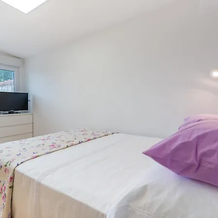 Ortensia Colors * Dubrovnik